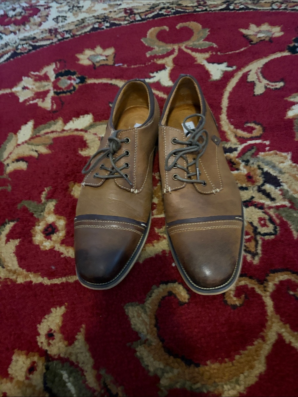 Steve Madden Jamyson Two-Tone Brown Leather Cap-Toe Oxfords